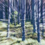 bildkritik 2025 11 06 Abstrakt .037