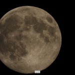 Bildkritik 2025 12 5.003