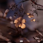 Bildkritik 2025 12 5.010