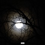 Bildkritik 2025 12 5.019