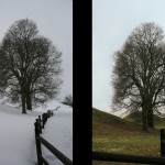 Bildkritik jan 2026.006