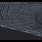 Bildkritik jan 2026.005