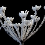 Bildkritik jan 2026.004