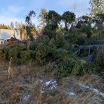 Bildkritik jan 2026.001