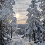 Bildkritik 5 mars.005