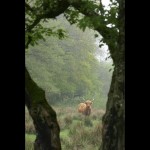 Bildkritik 5 mars.002