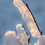 Roland frost -3
