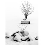 JuanVinter_Januari2019_1