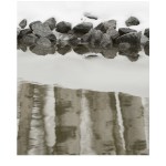 Juan Birches_Stones