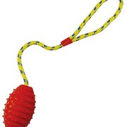 Pritax Rubber Football with Rope