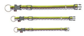 Freshline halsband Spot, L-XL: 40-65 cm/25 mm, taupe/lime/grå - Freshline halsband Spot, L-XL: 40-65 cm/25 mm, taupe/lime/grå
