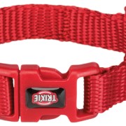 Premium halsband, XXS-XS: 15-25 cm/10 mm, röd