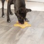 Lick'n'Snack platta, silikon, 23.5 cm, gul