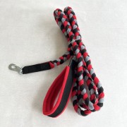 Stor hund - 3 meters