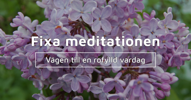 GreatBeing gratis e-kurs: Fixa meditationen