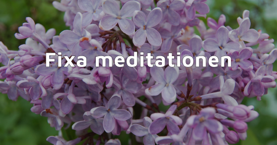 Blogginlägg GreatBeing: Gratis e-kurs - Fixa meditationen