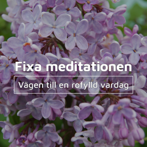 Fixa meditationen - Fixa meditationen
