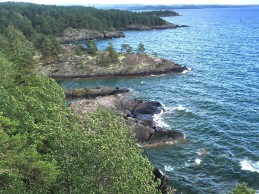 IMG_1602 IMG_1602