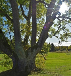 DSC_0089 DSC_0089