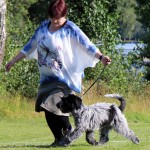 thumbnail_IMG_5955
