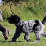 thumbnail_IMG_5969