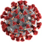 Om du är smittad av Corona viruset (Covid 19)