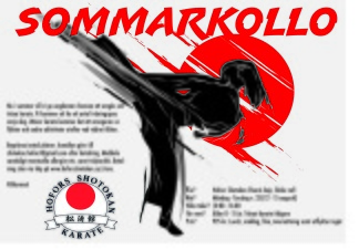 Sommarkollo 2024