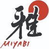 MIYABI 5000MCD Shoto 13cm