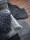 SW HOME web 19-1 (5)