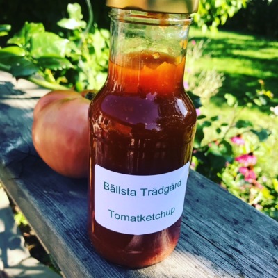 Ketchup från egna tomater.