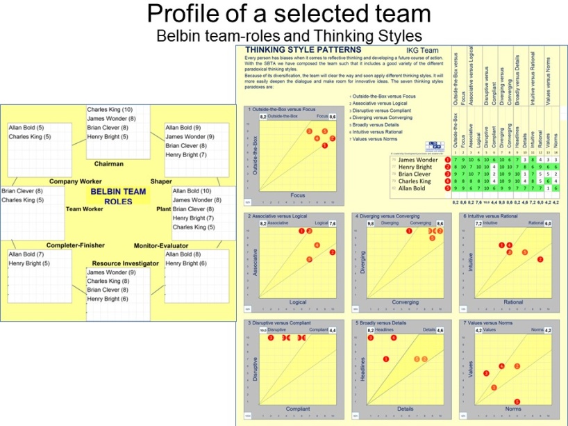 The Belbin Team Analysis and all the different thinking styles of the above selected team