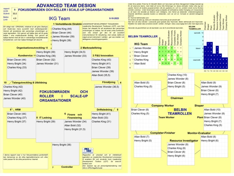 Exempel på ett komplett Scale-Up-team designat med modulen Advanced Team Design