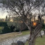 Foto 2022-12-28 16 55 01