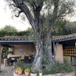 Foto 2022-07-22 20 26 56