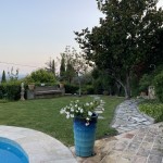 Foto 2022-07-22 20 27 14 (1)