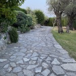 Foto 2022-07-22 20 54 38