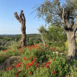 Foto 2022-04-28 08 13 39