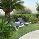 Foto 2022-07-22 20 26 38 (1)