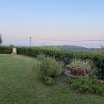 Foto 2022-07-22 20 27 59