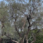 Foto 2022-07-22 20 55 32