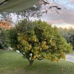 Foto 2022-12-28 16 52 24