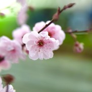 thumbnail_IMG_2535