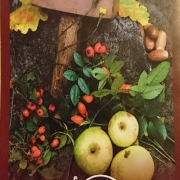 Folder om Samfundet Forn Sed