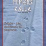 Mimers Källa