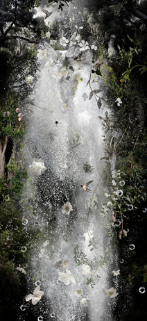 Whispers, 2012, archival C-print photography, 84 x 163 cm