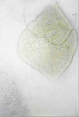 Hive with Home and Away, acrylic, graphite, eraser, glue, thread on canvas,183 x 122 cm, 2015