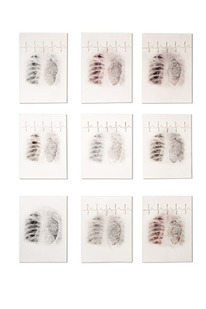 HiveCages 1-9, pigment, acrylic, graphite, eraser on archival paper, thread 185 x 150 cm, 2015