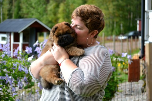 Nicole med familj har varit och hälsat på deras kommande familjemedeln - Commitment's On The Loose. Nicole med familj har varit och hälsat på deras kommande familjemedeln - Commitment's On The Loose.