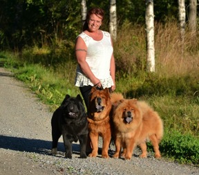 Jag- Anna-Lena med tre av våra hundar - Sofia, Doncho och Ella. Bilden har även varit publicerad i tidningen "Härliga Hund" efter ett repotage om rasen chow chow. Jag- Anna-Lena med tre av våra hundar - Sofia, Doncho och Ella. Bilden har även varit publicerad i tidningen "Härliga Hund" efter ett repotage om rasen chow chow.