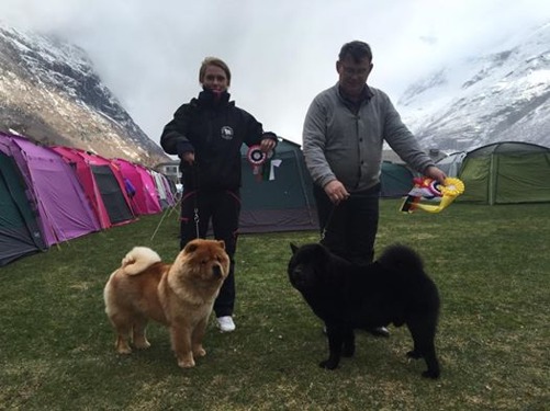 BIM och BIR på Sunndalsöra utställningen i Norge - Brasse till höger..... Ser hur som helst riktigt, riktigt kallt ut... BIM och BIR på Sunndalsöra utställningen i Norge - Brasse till höger..... Ser hur som helst riktigt, riktigt kallt ut...